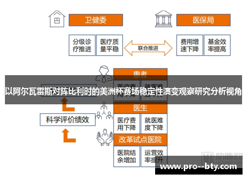 以阿尔瓦雷斯对阵比利时的美洲杯赛场稳定性演变观察研究分析视角 以阿尔瓦雷斯对阵比利时的美洲杯赛场稳定性演变观察研究分析视角