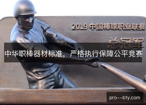中华职棒器材标准，严格执行保障公平竞赛